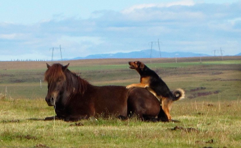 Вот это железная уверенность!