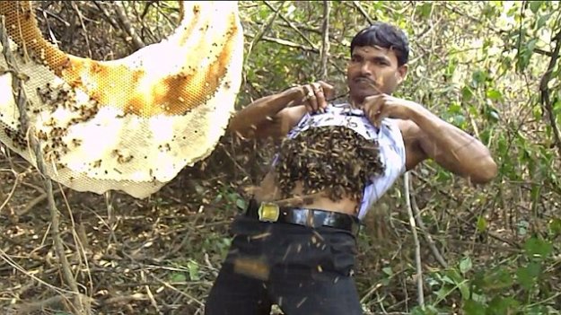 Индийца ужалили 300 диких пчел, а он улыбнулся и попил чайку (видео)