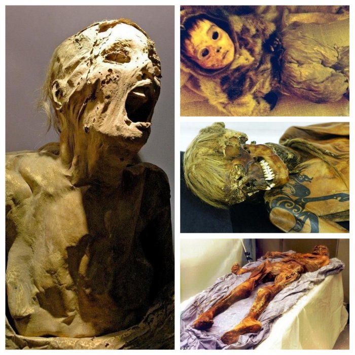 Все тлен: самые известные мумии древности и современности