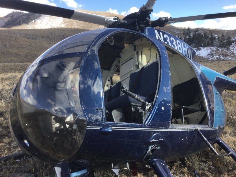 В США лось сбил вертолет рогами 