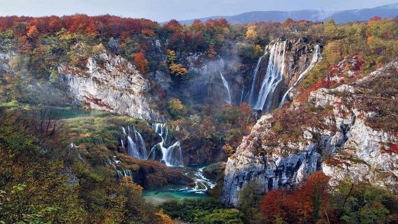 20 гениальных снимков дикой природы от National Geographic