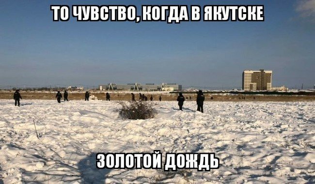 Реакция соцсетей на золотой дождь в Якутске