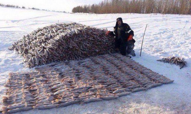 Это Россия, детка! Наши реалии, которые приводят в трепет иностранцев 