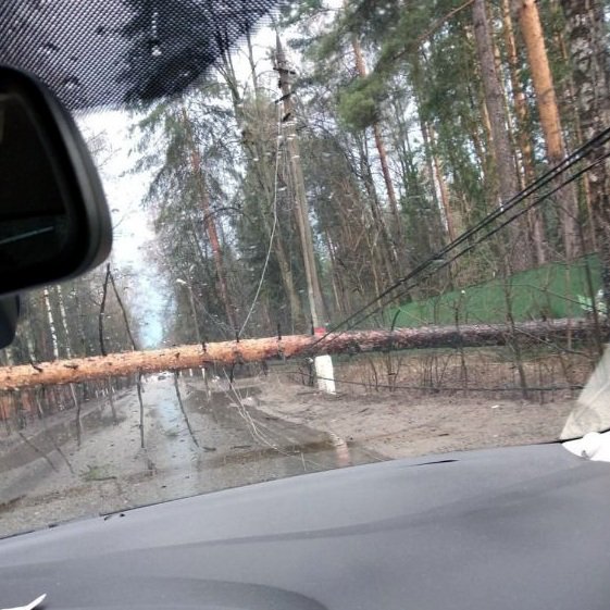 Москва отходит от сильнейшего урагана, есть жертвы