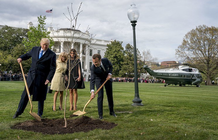 Пока Трамп с Макроном сажали деревья, интернет придумывал свою версию происходящего
