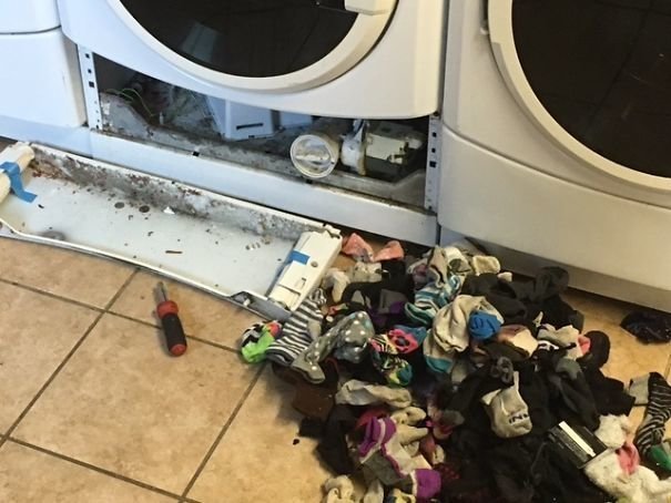 Американская пара выяснила, куда исчезают носки в стиральных машинках