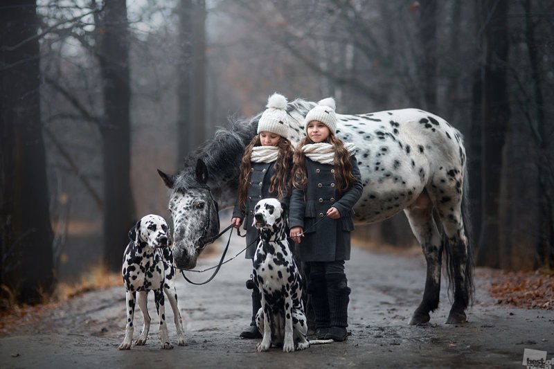 Лучшие фото с конкурса Best of Russia 