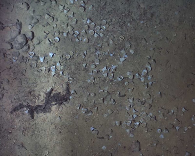 Борьба за сундук мертвеца: в Карибском море нашли затонувший золотой галеон 