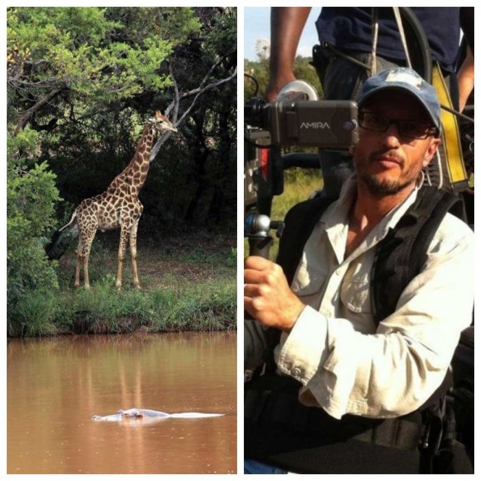 В ЮАР известный режиссер погиб после встречи с жирафом