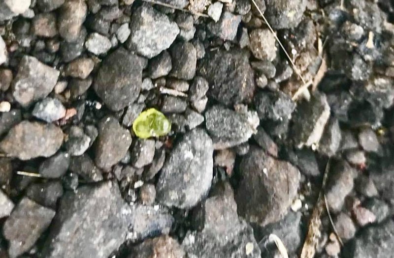 В поисках драгоценностей: Гавайи утопают в лаве и зеленых камнях